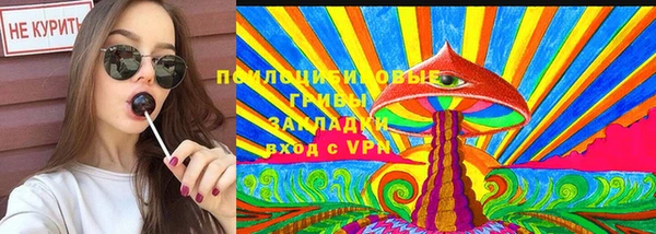 apvp Покачи