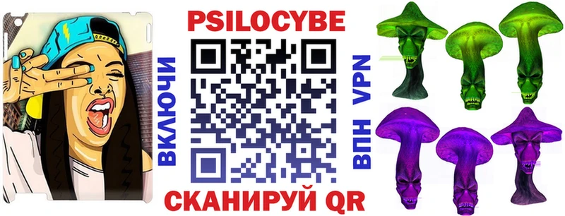 ОМГ ОМГ tor  Алдан  Псилоцибиновые грибы GOLDEN TEACHER 